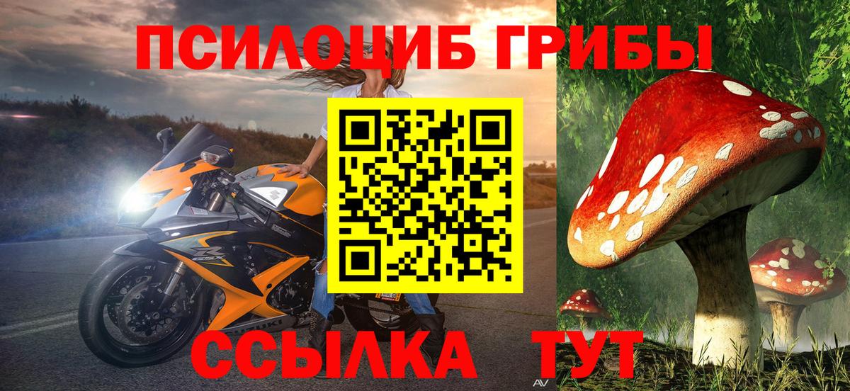 Галлюциногенные грибы мицелий Похвистнево
