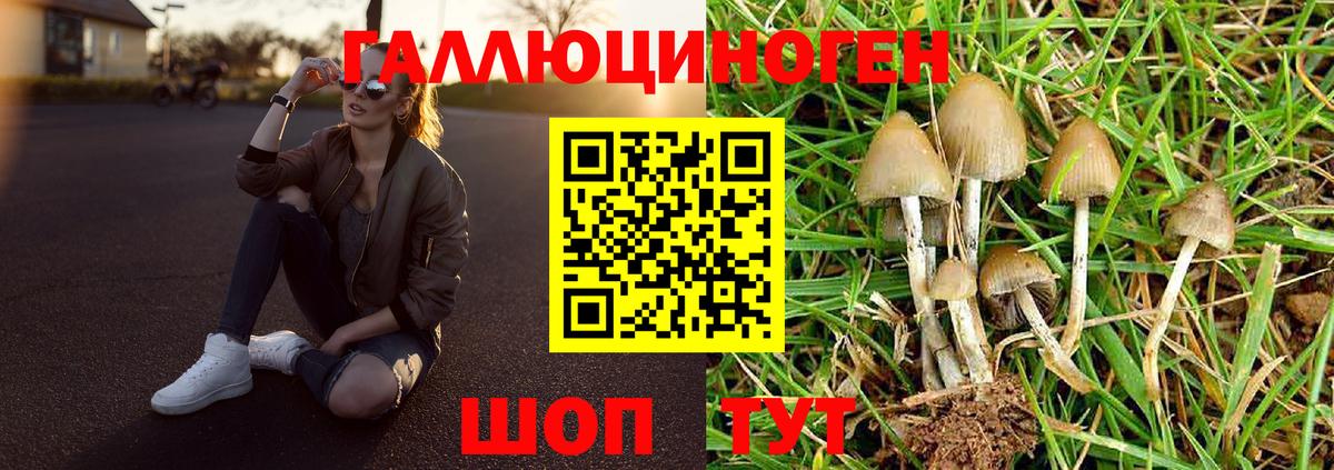 Похвистнево  Псилоцибиновые грибы прущие грибы  где найти наркотики  Вход с VPN 